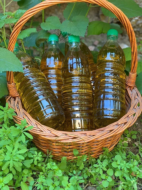 Erken Hasat Zeytinyağı 1 lt.