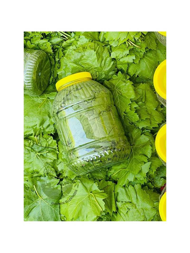 Kuru Basım Yaprak 5'lik Bidon