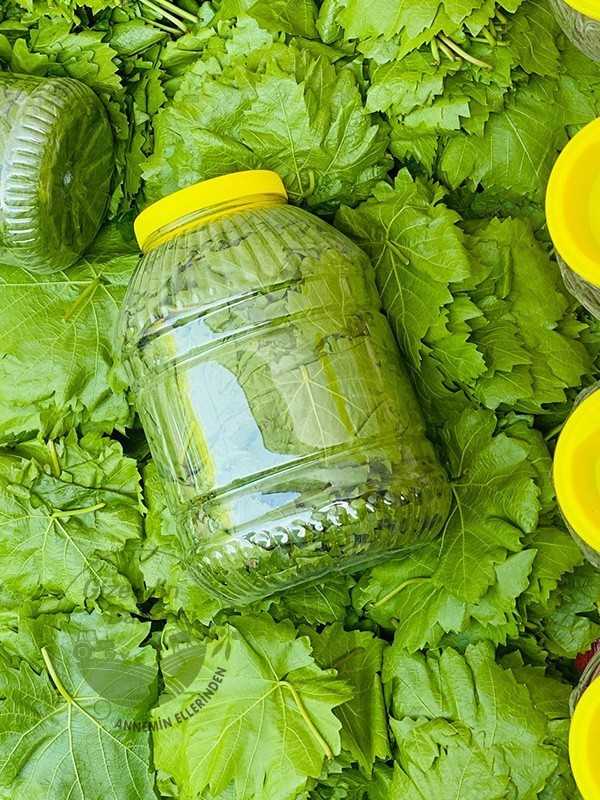 Kuru Basım Yaprak 5'lik Bidon