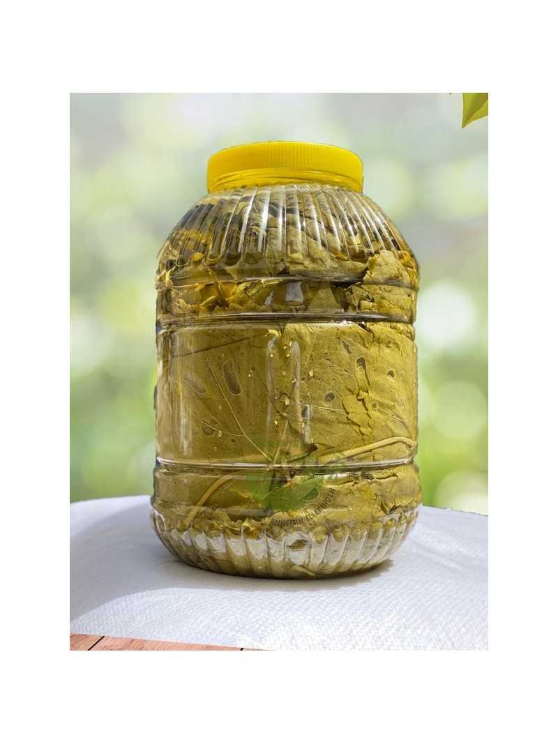 Salamura Yaprak 5 lik Bidon