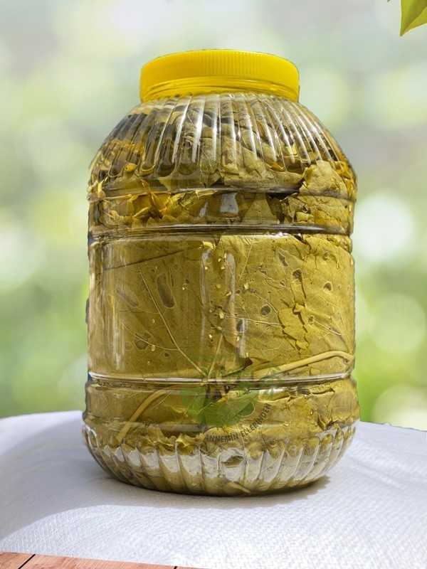 Salamura Yaprak 5 lik Bidon