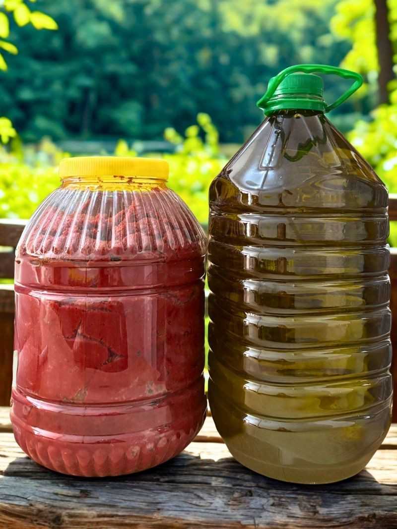 Biber Salçası 5 Kg + Zeytinyağı 5 lt.