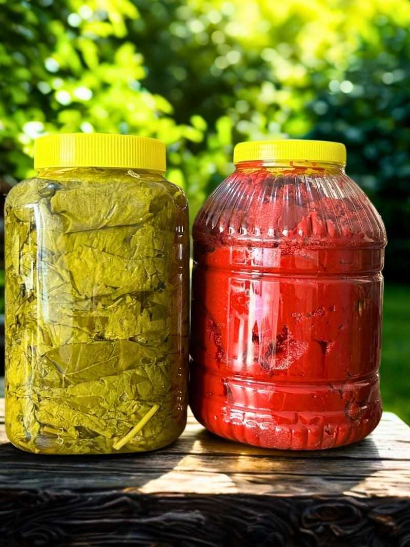 Domates Salçası 5 kg + Salamura Yaprak 5'lik Bidon