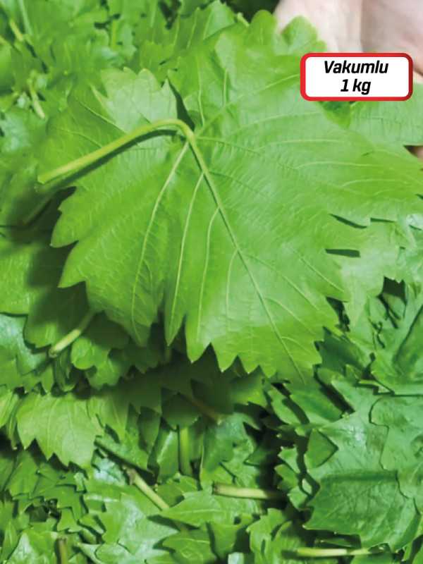 Vakumlu Kuru Basım Yaprak 1 kg.