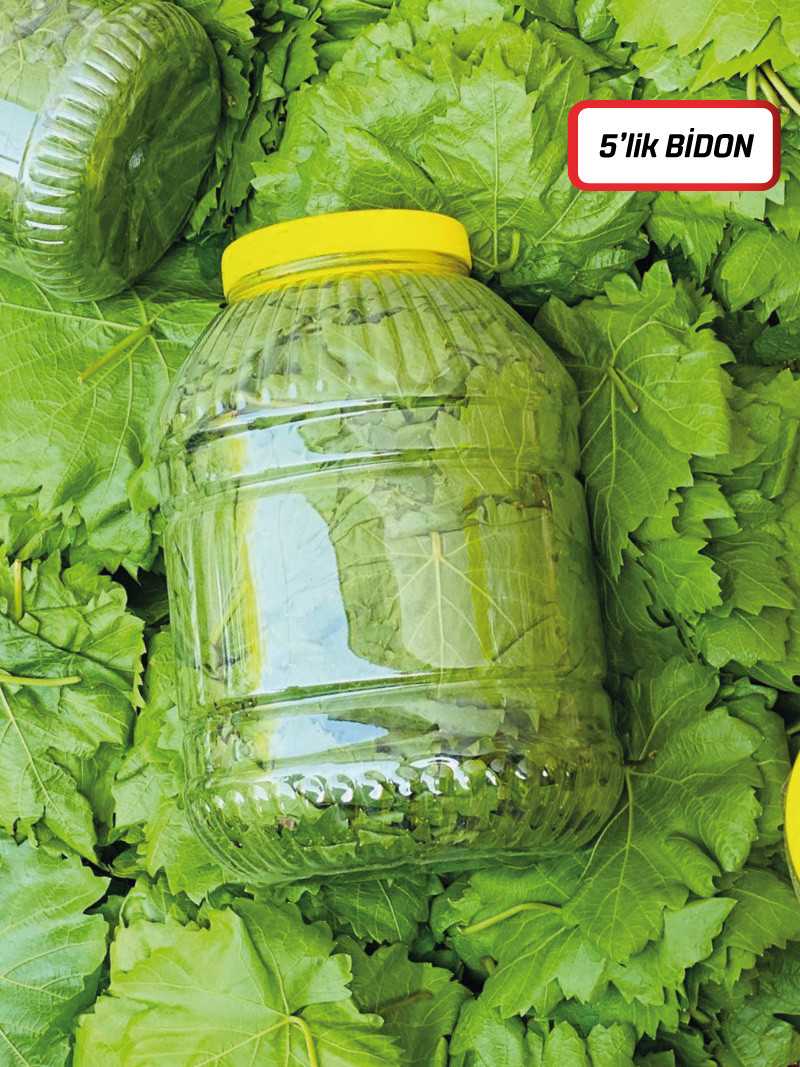 Kuru Basım Asma Yaprak 5'lik Bidon