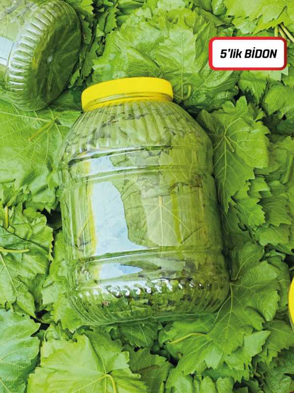 Kuru Basım Asma Yaprak 5'lik Bidon