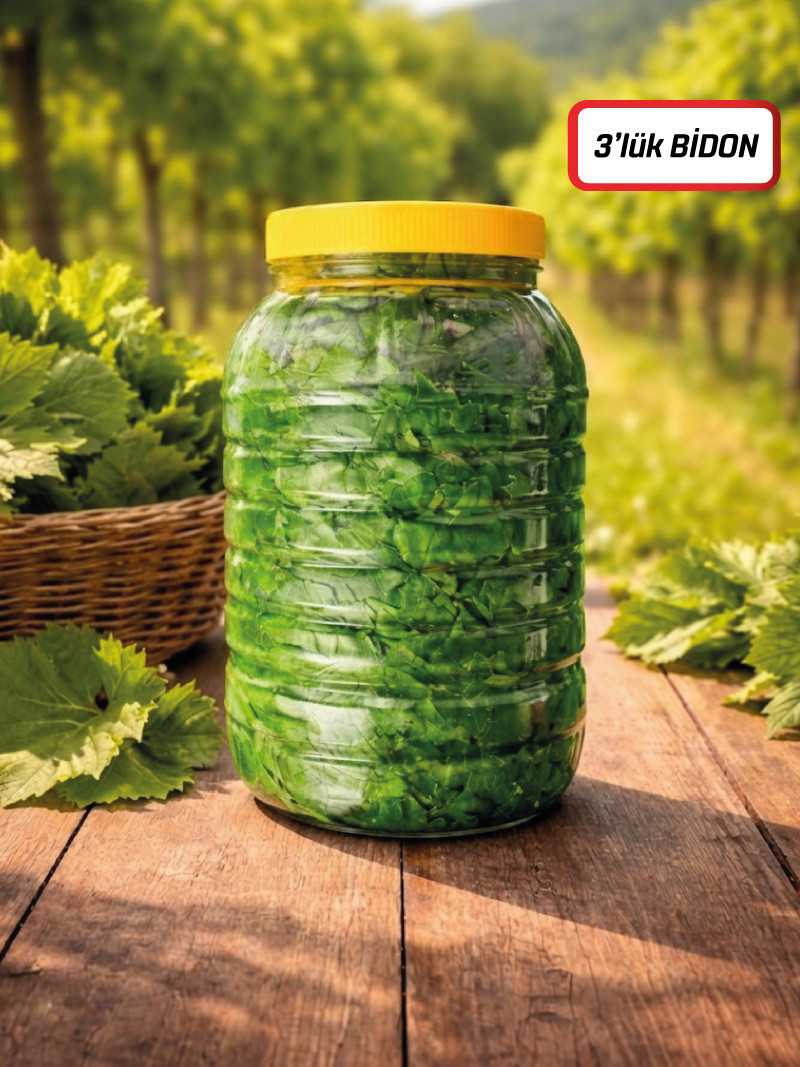 Kuru Basım Asma Yaprak 3'lük Bidon