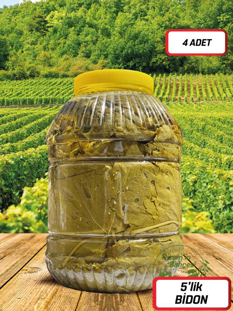 Salamura Asma Yaprak 4x5'lik Bidon