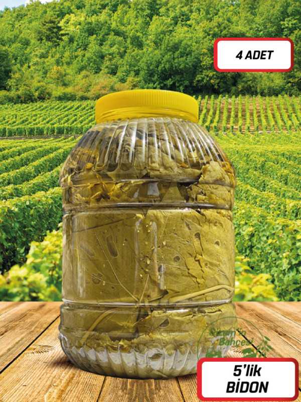 Salamura Asma Yaprak 4x5'lik Bidon