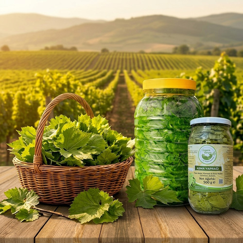 kuru basım asma yaprak